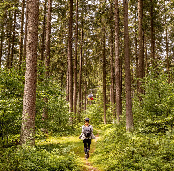 Frau wandert im Harz